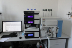 Liquid chromatography–mass spectrometer (LC-MS/MS)