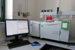 Ionic chromatograph