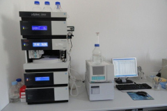 Gas-chromatograph